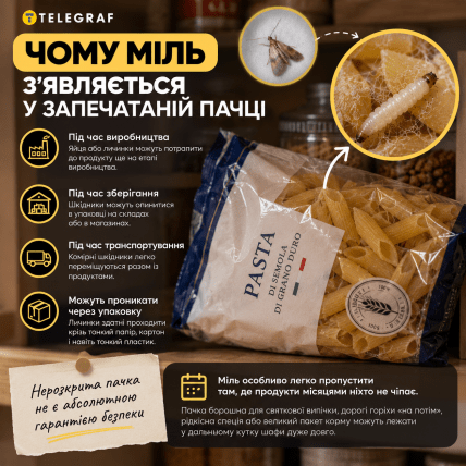 Чому міль з'являється у запечатаній пачці. Інфографіка: ШІ "Телеграф"