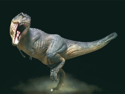 Куда пойти с ребенком на выходных 26 и 27 сентября: выставка древностей