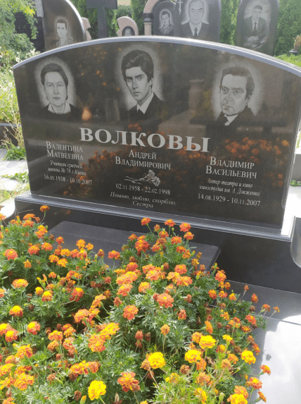 волков владимир могила