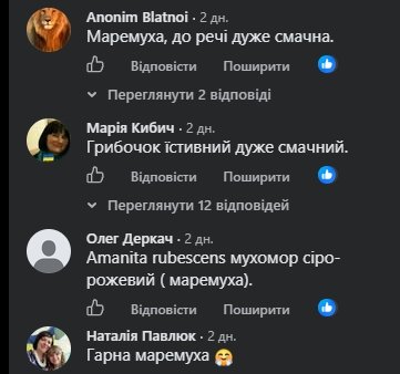 Комментарии пользователей