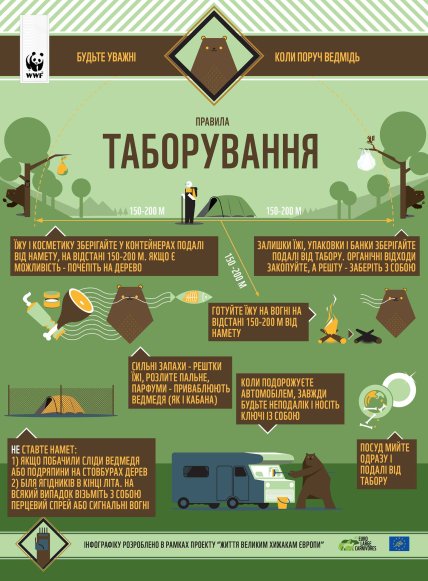 Правила для туристів, щоб уникнути ведмедів