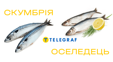 Оселедець і скумбрія