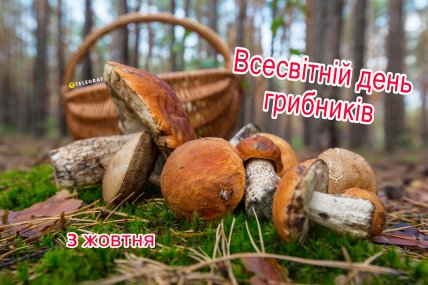 картинка з днем грибника