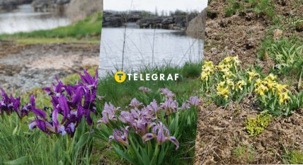 Урочище Каскады – живописный уголок Кировоградщины