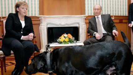 Ангела Меркель, лабрадор Коні та Володимир Путін