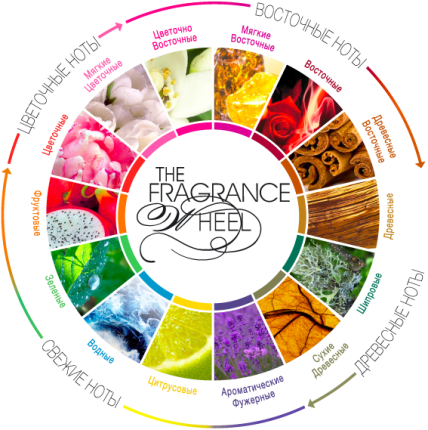 Как выбрать женский парфюм