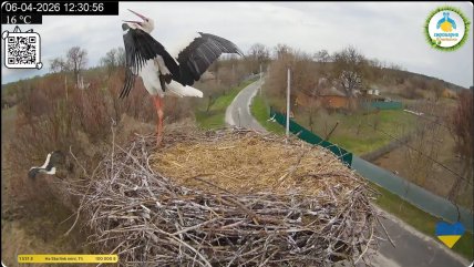 Грицик переможець