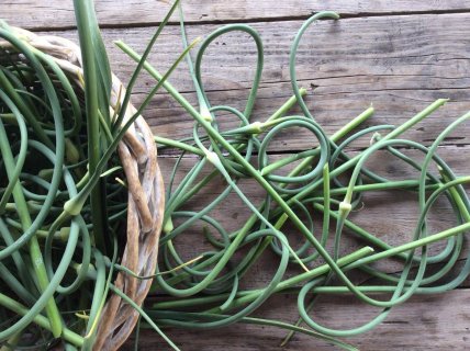 Така заготівля стане вашою улюбленою