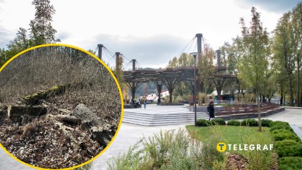 В 2020 году обновили входную группу на Трухановом острове, но есть там разные уголки. Фото Коллаж "Телеграфа"