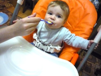 Папины истории: как сын пробовал первый прикорм - изображение №1