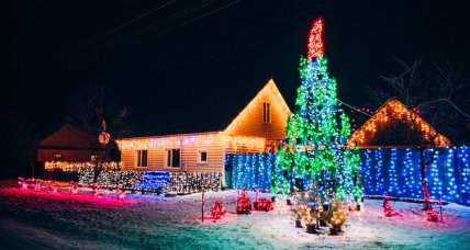 Будинок, паркан, дерево та кущі у гірляндах
