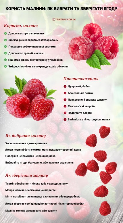 Як вибрати малину