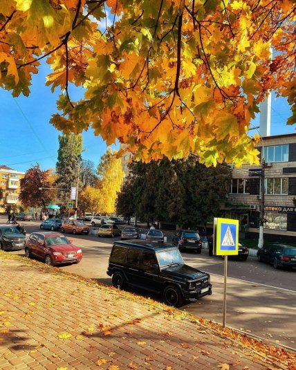 сніг вишгород