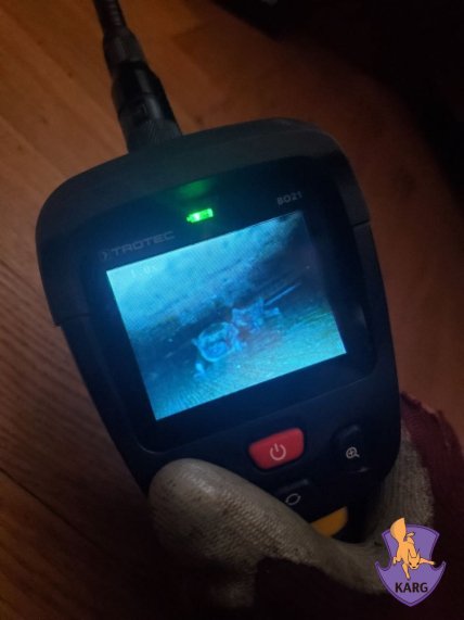 Как защитить квартиру от летучих мышей