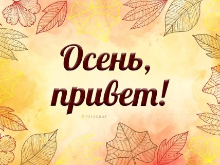 с первым днем осени 2023