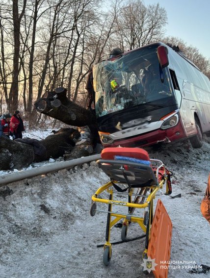 Автобус врізався у дерево на трасі Київ-Чоп