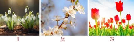 тест по картинці