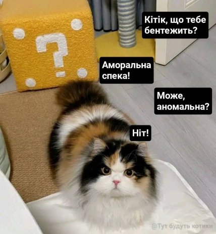 Меми про спеку 2026