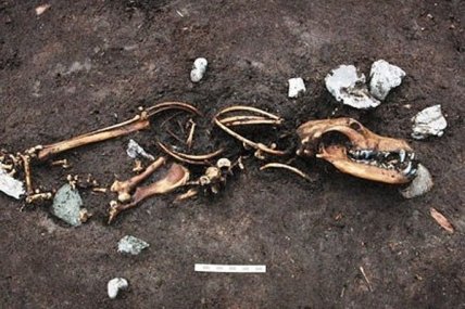 Археологи впервые обнаружили уникальную древнюю находку