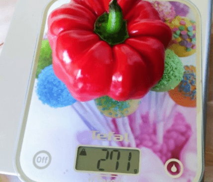 Солодкий болгарський перець Бронко F1