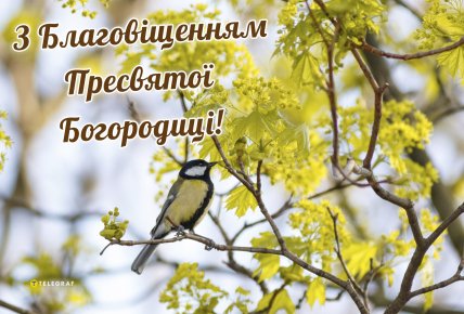 благовіщення листівки