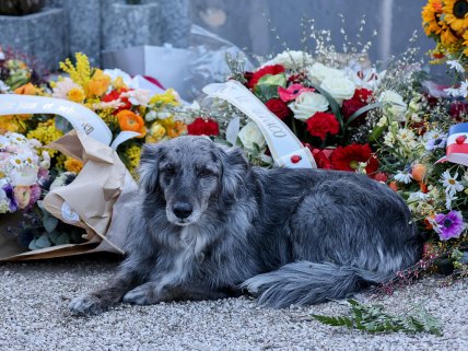 могила Брижит Бардо