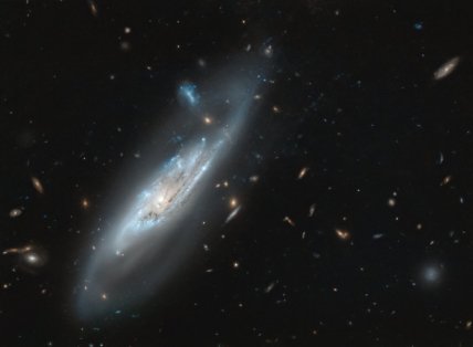 Спиральная галактика NGC 4848