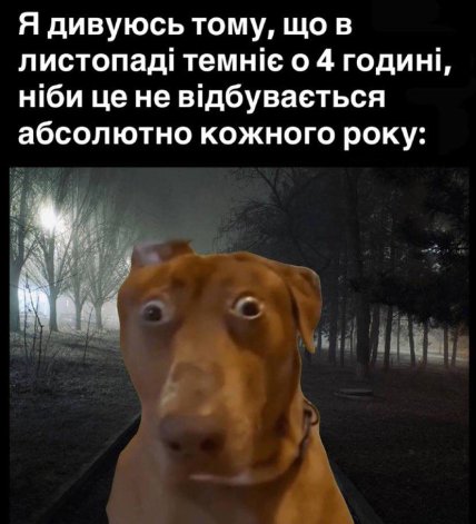 Мем о ноябре