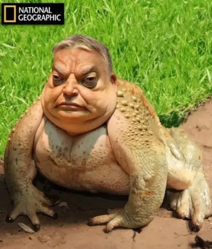 Виктор Орбан, жаба, мем