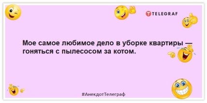 Анекдоты про котов