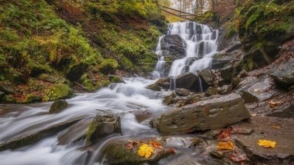 Катерина Полищук, лицензия CC BY-SA 4.0