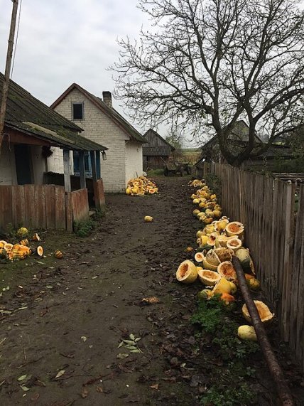 Село Сушибаба название