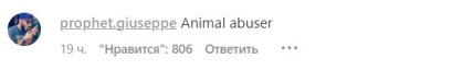 В сети раскритиковали Хасбика за насилие над котом