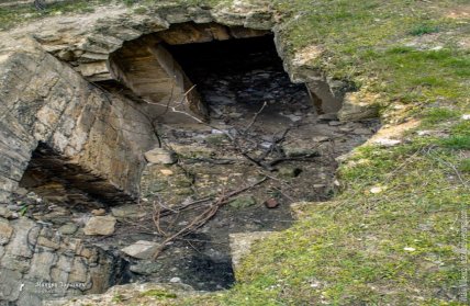 Садиба людини-вовка (палац Дубецьких-Панкеєвих)