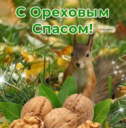 Поздравления с Ореховым Спасом 2022 открытки
