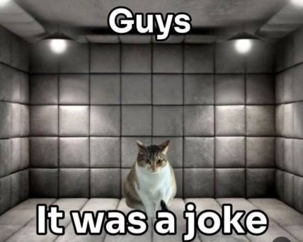 Меми про кукуху та менталочку