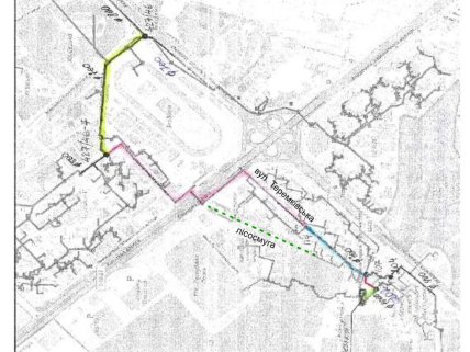 Парк Теремки не мали вирубувати, кажуть учасники протестів в Києві