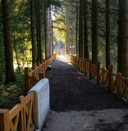 Воротнівський ботанічний заказник біля Луцька