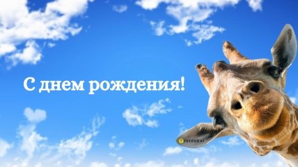 с днем рождения однокласснице открытки