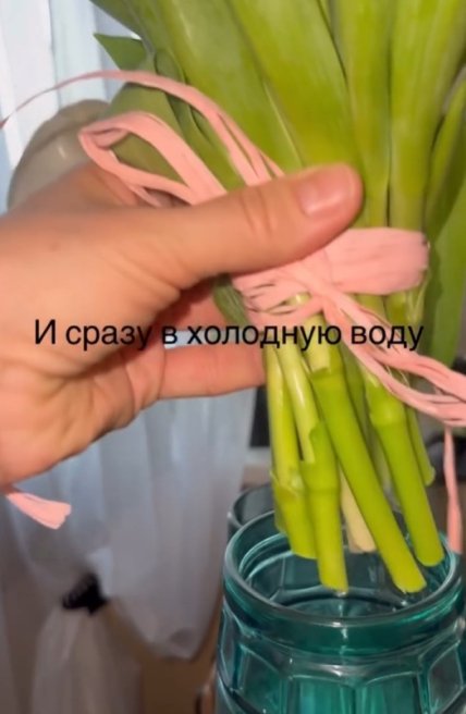 Инструкция по оживлению тюльпанов