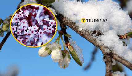 Погода 6 апреля
