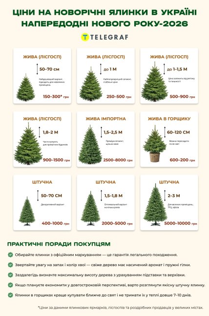 Ціни на ялинки в Україні