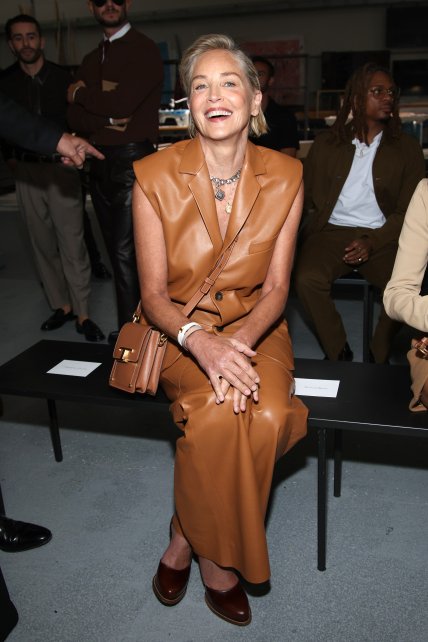 Шэрон Стоун в стильном костюме