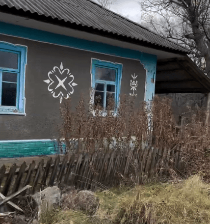 Все заросло сорняками и кустарниками
