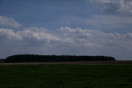 Стовп'язькі краєвиди