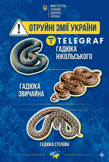 Ядовитые змеи Украины
