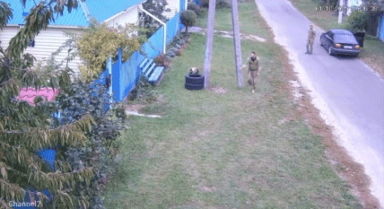 мобилизация кота