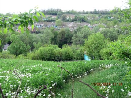 Село Борщевцы в Винницкой области