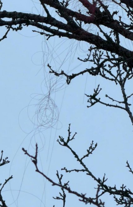 Оборванный оптоволоконный кабель российского дрона