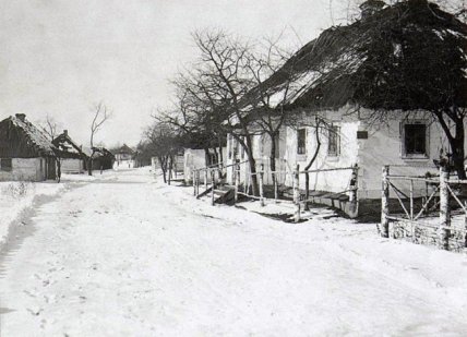 "Курна" хата з Полісся